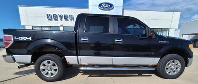 2010 Ford F-150 XL