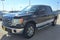 2010 Ford F-150 XL